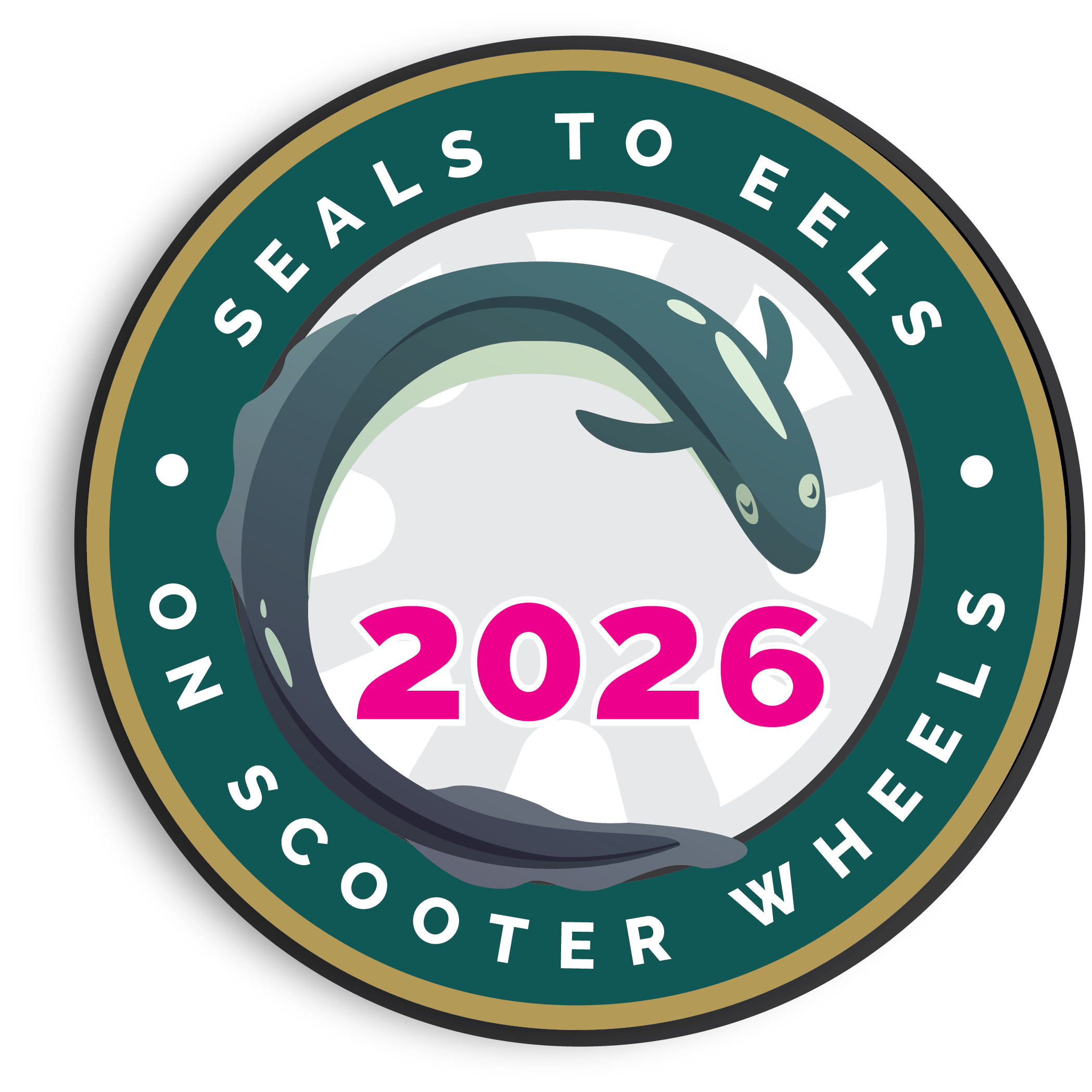 Seals to Eels